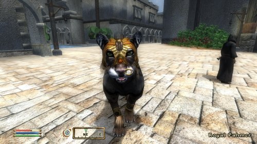 The Khajiit Of Elsweyr