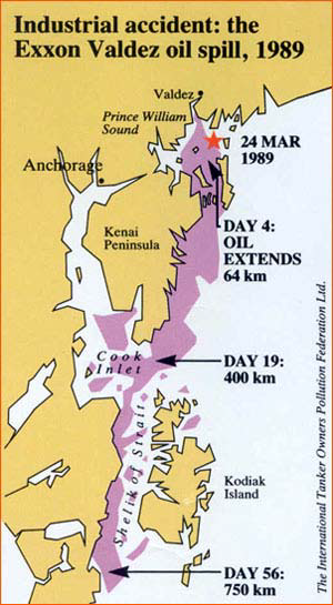 exxon valdez oil spill case study