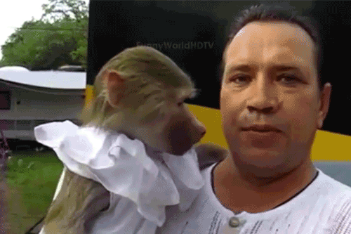 funny-gif-1:  Other Funny Gİfs http://funny-gif-1.tumblr.com/