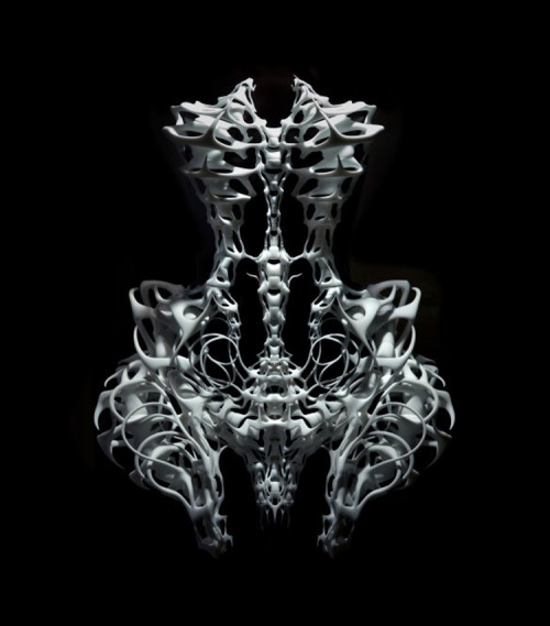 because-b:  The Skeleton Dress by Iris Van Herpen