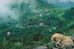 retrospectia:  National Geographic’s Majestic Island Worlds, 1987