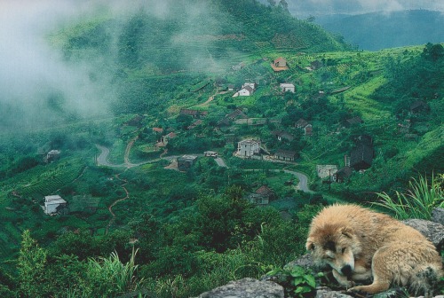 retrospectia: National Geographic’s Majestic Island Worlds, 1987