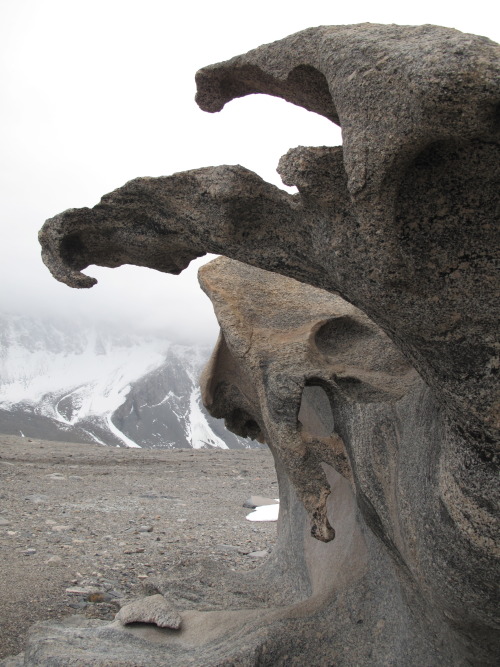 inthenoosphere:Ventifacts = rocks carved by the wind (by nbeard3)