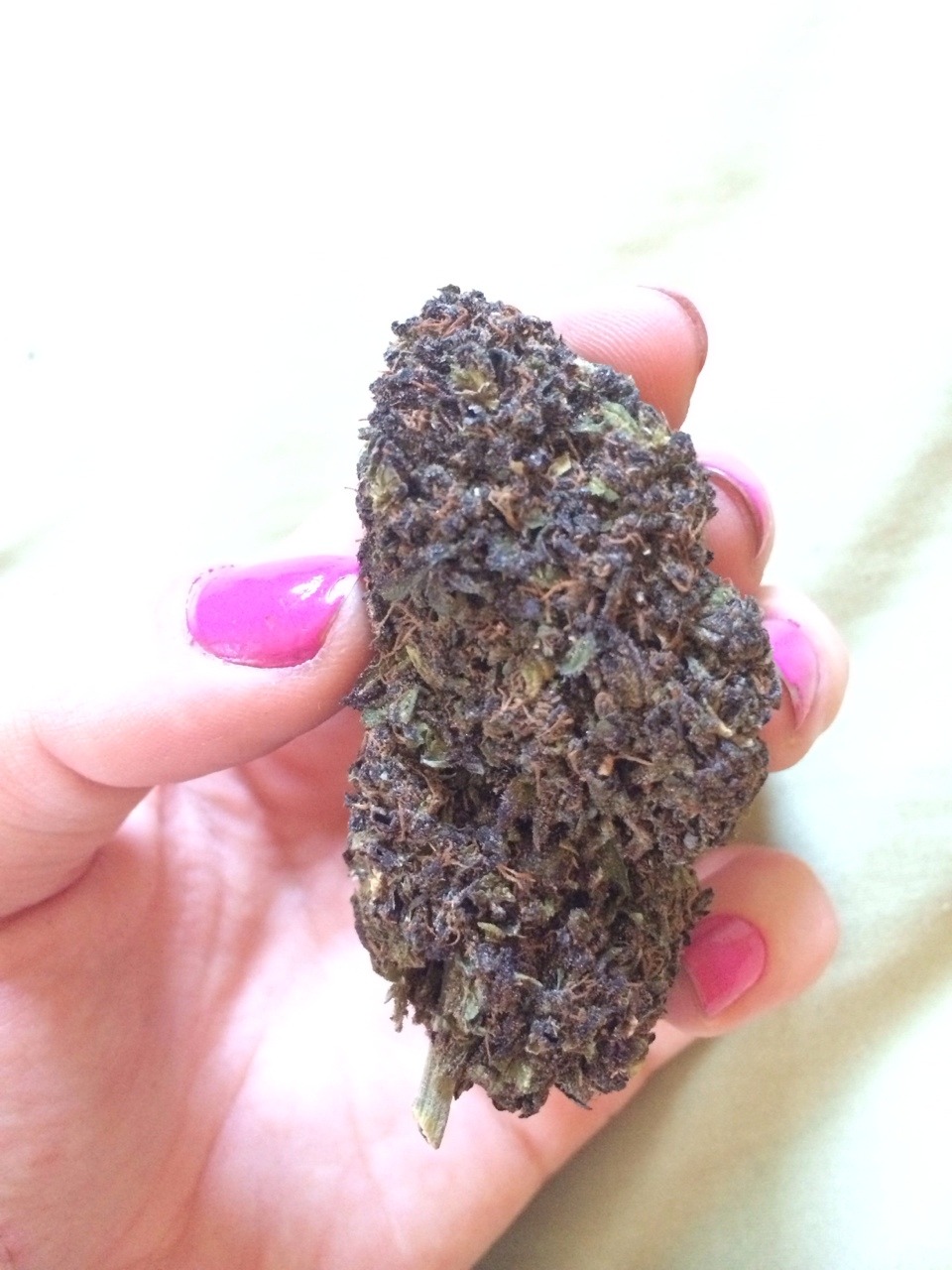 hybridfairy:  It’s been a while since I came across a nug this pretty without going