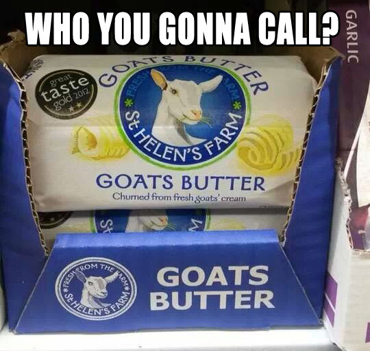 If there&rsquo;s something&rsquo; strange in your neighborhood Who ya gonna