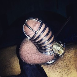 Picullocub:  After A Recovery From A Bruised Finally Returning To Chastity, He Needs