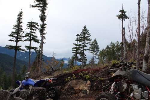 Nice little ride today in the foothills , explored a couple trails we haven’t taken before and discovered someone somehow got a picnic table up there