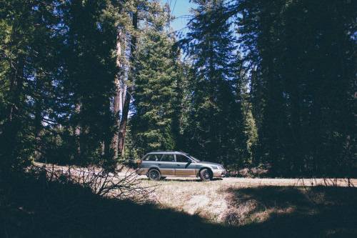 thedanielenrico in the mountains up near Ice House Reservoir.