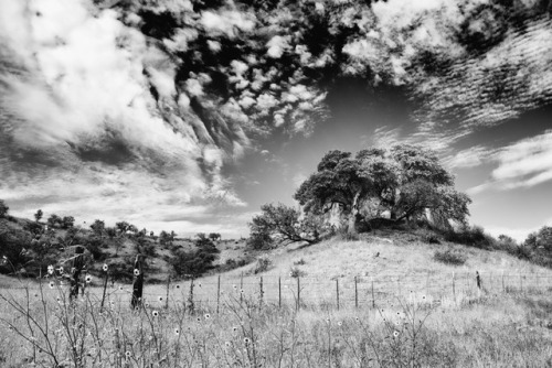 Sonoita, AZ