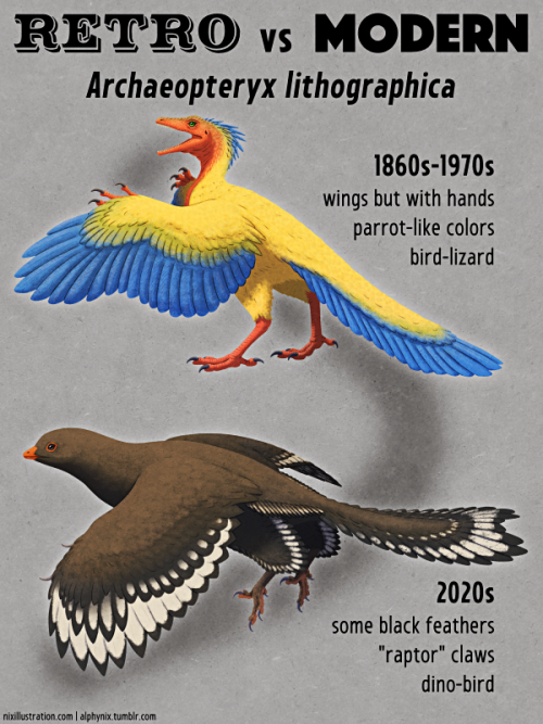 Retro vs Modern #04: Archaeopteryx lithographicaArchaeopteryx lithographica was first discovered in 