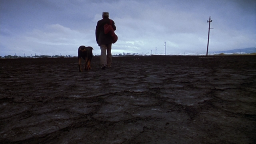 raysofcinema:AMORES PERROS (2000)Directed porn pictures