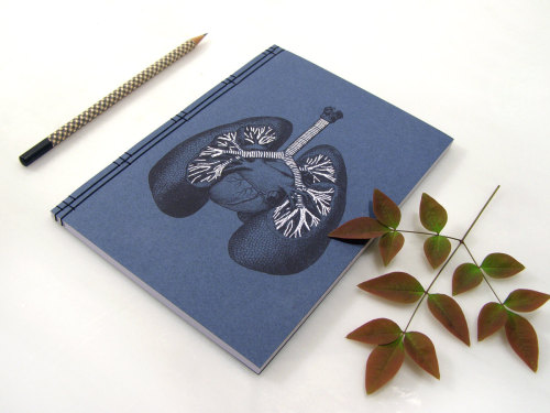 wordsnquotes: Japanese Paper Embroidery Notebooks Hold Vintage Science Illustrations Get their notebooks now! Read our review here. 