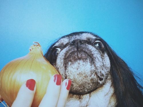 To commemorate the life of Marina Abramopug, we’re featuring a retrospective of her work, including 