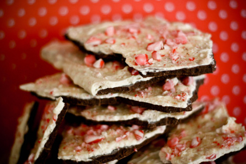 delectabledelight:Black &amp; White Peppermint Bark (by michelle | une-deux senses)