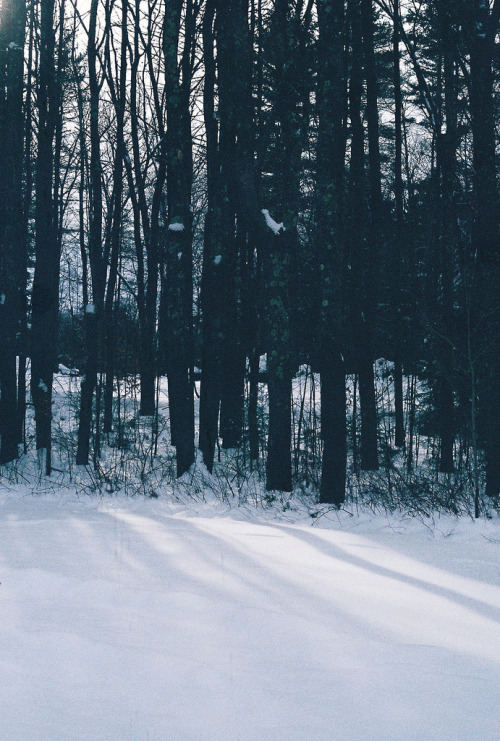 Thebeautyofnature