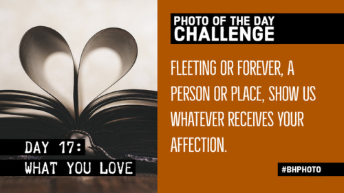  31 Day Photo Challenge, Week 3