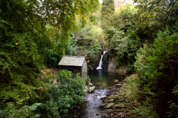 alexmurison:The Grotto, Rydal Hall, Lake District National Park