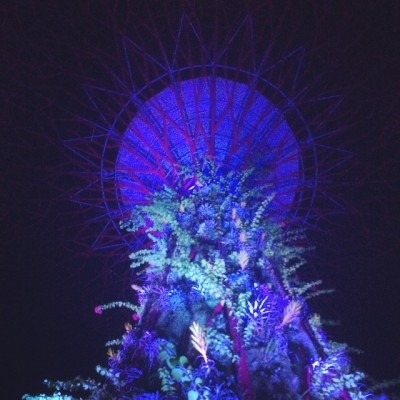 Gardens by the bay running at 10pm! #runnerbean #backpackingbean #running #myrun #gardensbythebay #simgapore