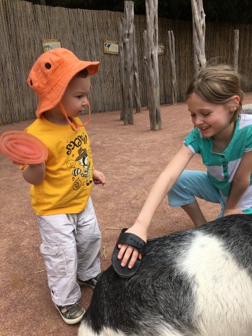 Debate over appropriate technique was intense.