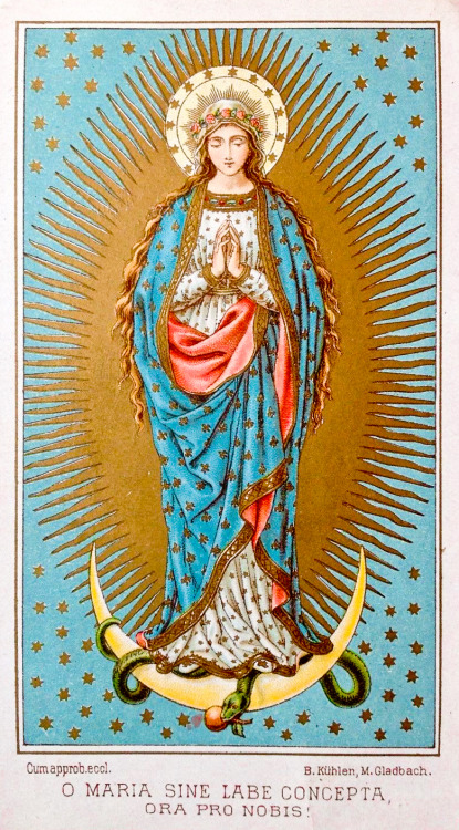 theraccolta:O most holy, o most loving, sweet Virgin Mary! Beloved Mother, undefiled,pray,