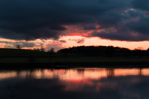 Pink sunset 11/02/16