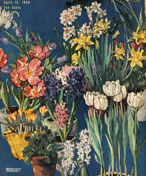 nemfrog: Spring flowers. Maclean’s. April 15, 1949. Cover.  Internet Archive