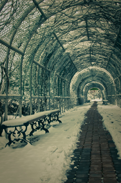 r2–d2:  Untitled by (JAhrensy) 
