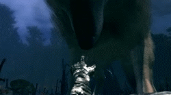 vincegame24:  Great Grey Wolf Sif 