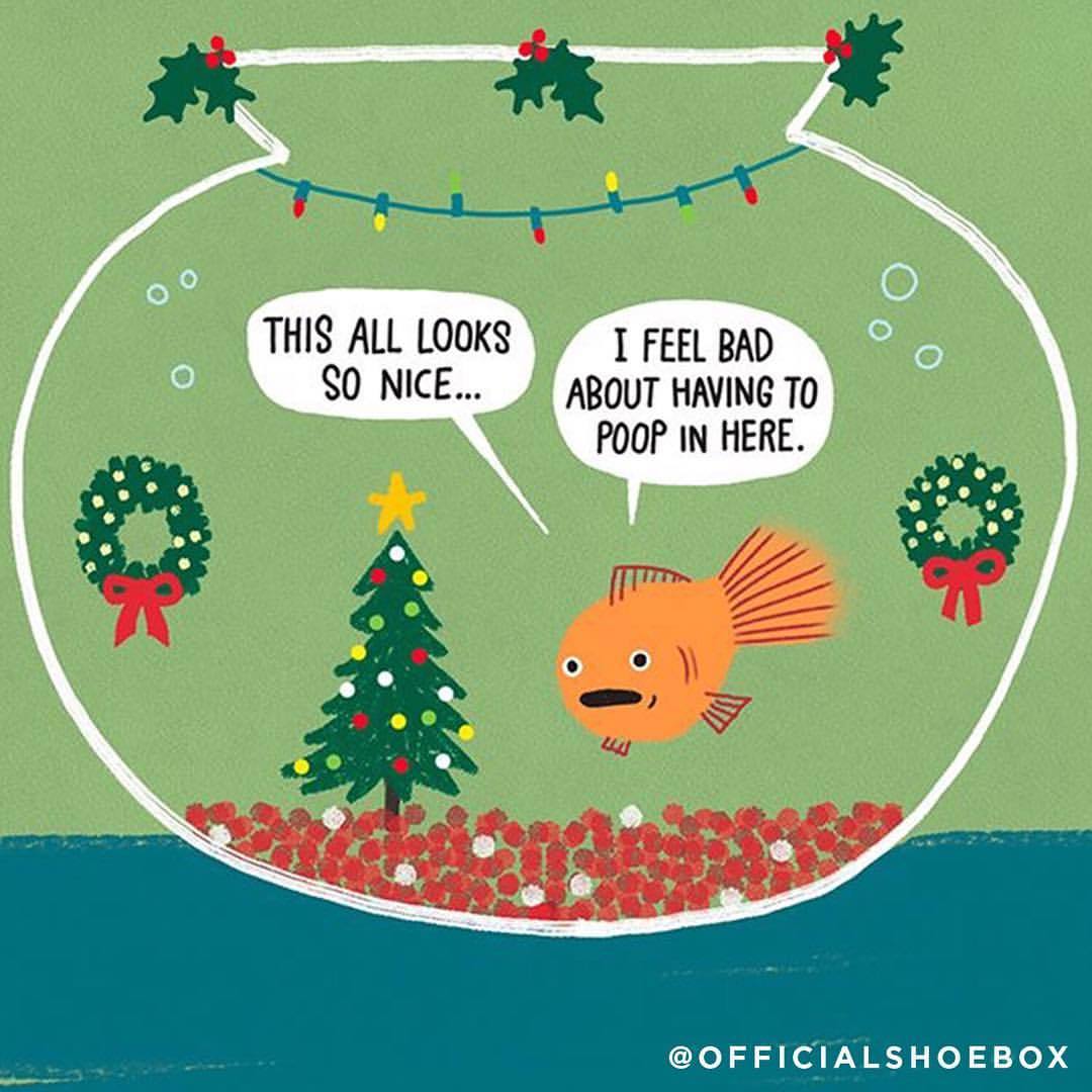 Shoebox Cards — Home is where you poop. 🎄 #Holidays #cartoon...