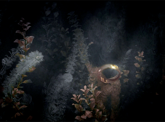 560c638f729f2314f60ec34d7e9fbd5b8f42e20d.gif