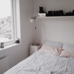 studyfulltime:  27//6 Room details {as requested}