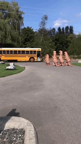 archiemcphee:  Today the Department of Awesome Parenting salutes this family in Orting, WA who all dressed up in our favorite inflatable Tyrannosaurus rex costume to surprise their eldest daughter/sister as she arrived home on her school bus.“My family