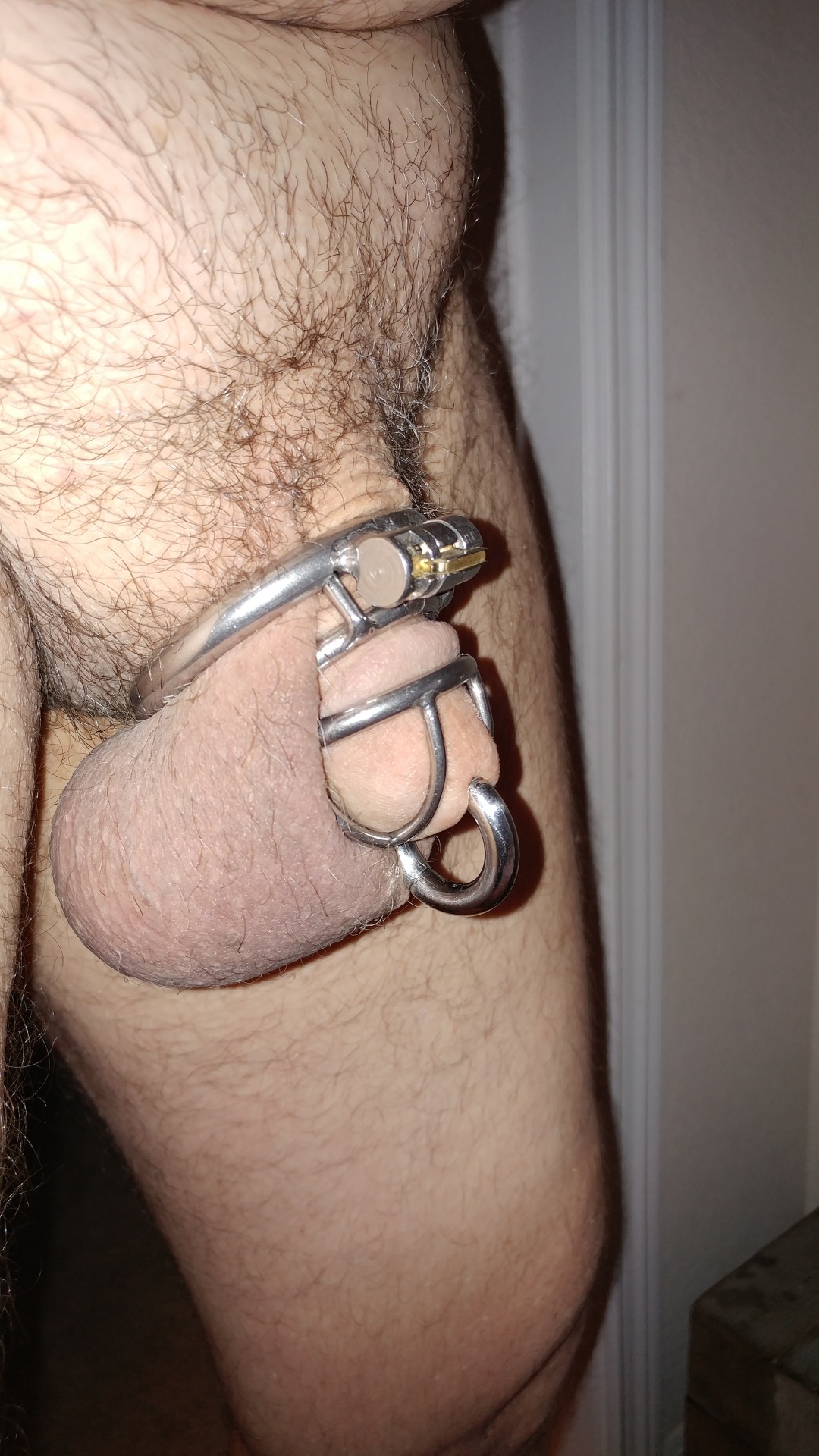 keyholderanna:  imcagedbywife: I got a new ring for my PA which I like a lot and