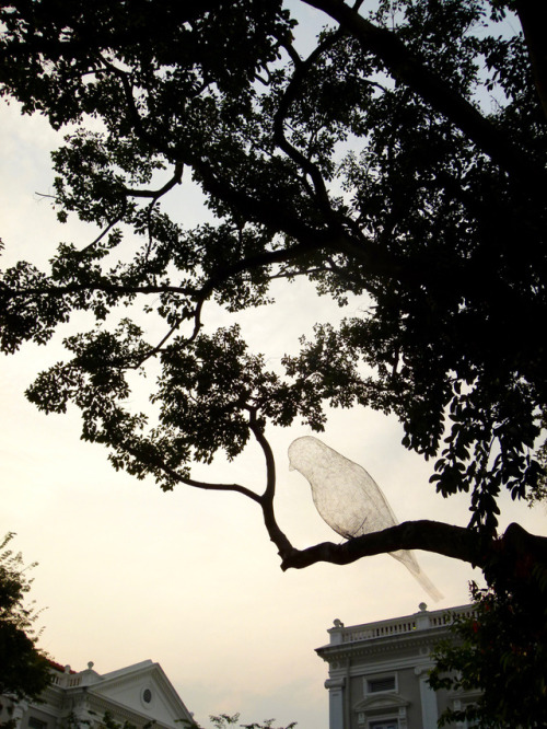 Sculpture by Cédric Le Borgne  French artist Cédric Le Borgne works to creates delicate wire sculptures all around the world. He suspends his art above public spaces in the hope that it enriches everyone who passes by. In an interview he describes...