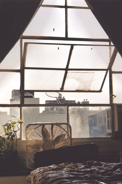 reoccured:  Landscape+Vintage blog             