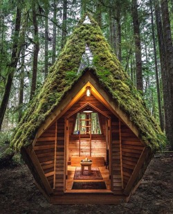 cabinlust:  Would you live here?