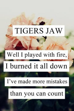 o-urdemise:  Tigers Jaw - Never Saw It Coming 