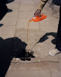 untrustyou:  Viviane Sassen