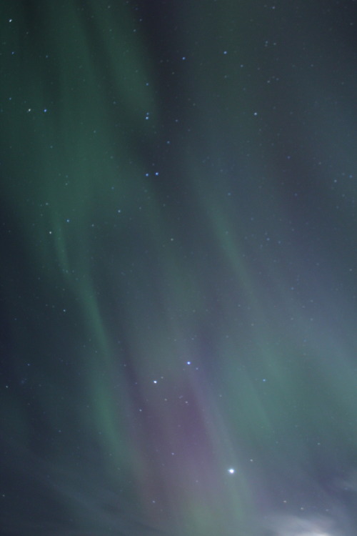 plantcosmos: aurora over umsjöliden, västerbotten, sweden april 6 2014
