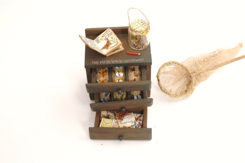 Butterfly display cabinet  Away with the Fairies by Laura Brownhillhttps://www.etsy.com/uk/shop/Coun