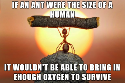 tastefullyoffensive:  Scientifically Unproven Facts [via]Previously: Amazing Ocean
