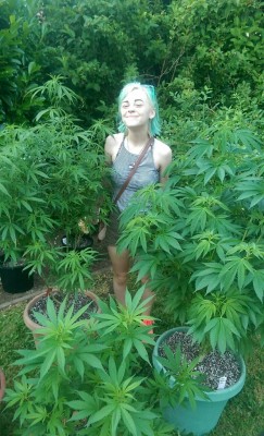 sweetstoner:  The garden 💚💚💚