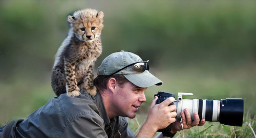 awesome-picz: Reasons Why Being A Nature Photographer Is The Best Job In The World.