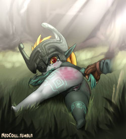 neocoill:  Minipic 2.Link has had enough of Midna’s constant back-breaking drops whenever he transforms, so this time he is giving her back a beating.