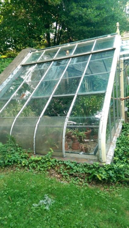 fawn01:  this greenhouse was sweet porn pictures