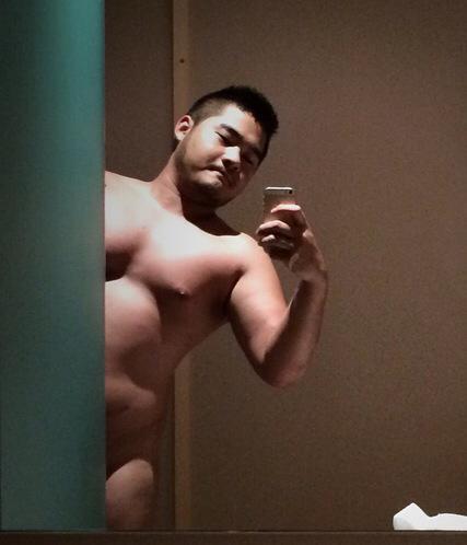 Asia bear