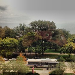 My view as I wait for these ultrasounds. #stjoseph #waiting #mycity #cloudy #trees #park #grey