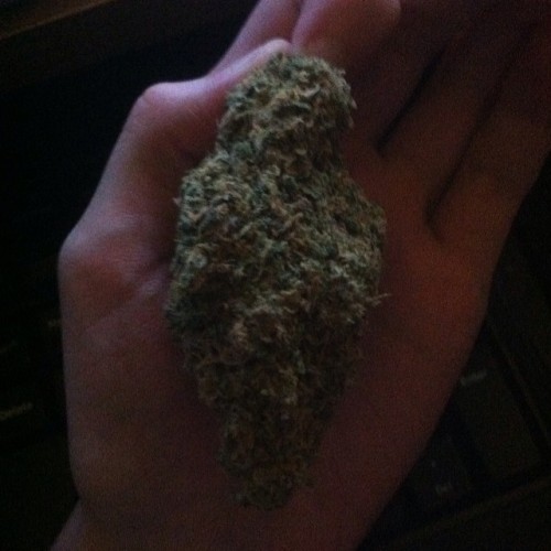 hope this nug of tyler durden will b my valentine