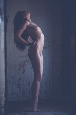 idiivil:  IDiivil March 2014. Photographed