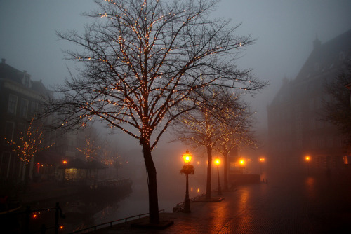 riasteria:Leiden (Netherlands) in the mist.